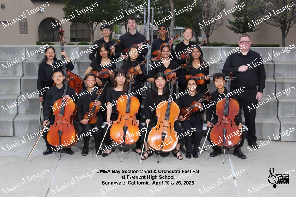 Musical Images